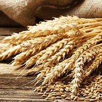 Grains